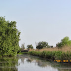 IMG_7865.JPG