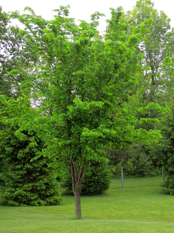[IMG_0322%255B4%255D.jpg]
