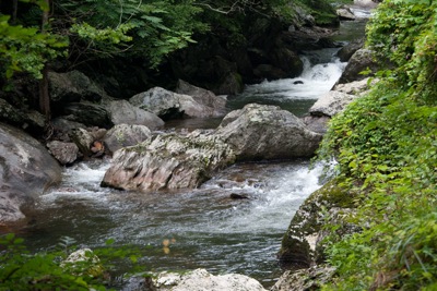 TN SMNP Little River 1