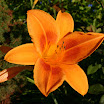 2005-1341.jpg
