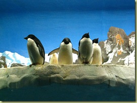 IMG_1720 IMG_1720