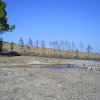 s4031294.jpg s4031294.jpg