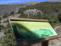 IMG_5234.JPG Photo