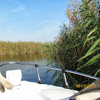 IMG_8032.JPG