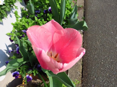 IMG_9840.JPG