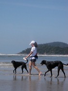 [FDS%2520Ecaologico%25206%2520%2528306%2529%255B3%255D.jpg]