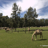 WesternPlainsZoo WesternPlainsZoo