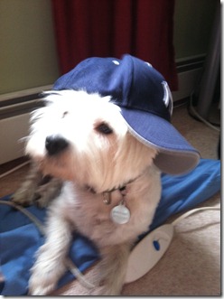2012.06.06 Yankee
