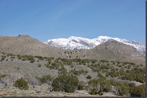 DSC_0583 DSC_0583