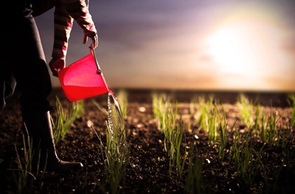watering-plants