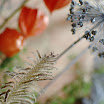 DSC_0472.jpg
