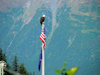 American Eagle by Nita McCallum