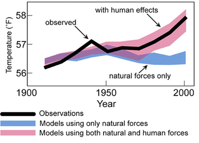 Observed Global Temperatures (black curve) compared with the spread among model simulations that include only natural factors (blue band) and that include both natural and human factors (red bad). Only the model simulations that include human factors are able to reproduce the observed warming Graphic: Second Assessment of the U.S. Global Change Research Program, 2009