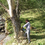 Tree chopping http://www.skibreezy.com