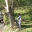 Tree chopping http://www.skibreezy.com