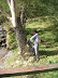 Tree chopping http://www.skibreezy.com