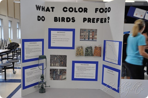 chat rencontre canada