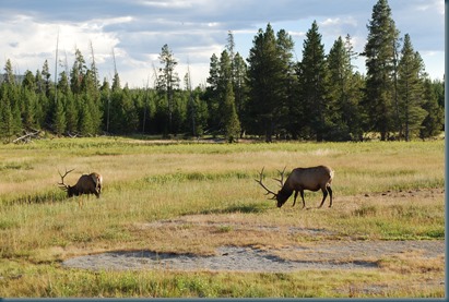 Yellowstone 032