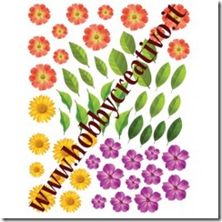 floralies-fiori-mignon-3 floralies-fiori-mignon-3