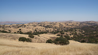 DSC02996.jpg