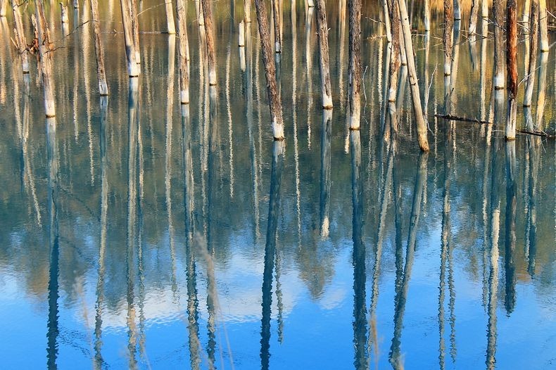 البركة الزرقاء في هوكايدو اليابان. Blue-pond-62