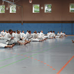 H25D2848.JPG