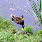 20100815_105_small.JPG