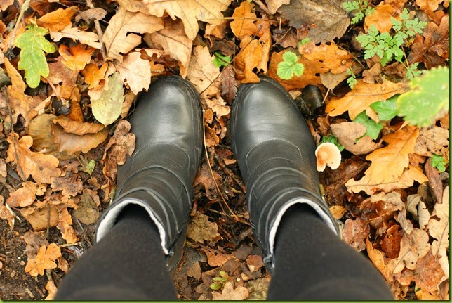 feet standing in leaves
