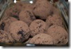 23 - Raw Almond Cocco Truffles