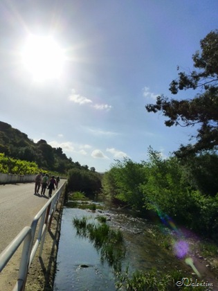 [P1030061%255B3%255D.jpg]