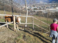 111227 L'Annunciata da Angone 062.JPG Photo