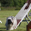 IMG_9831.JPG