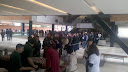 tdc06.jpg