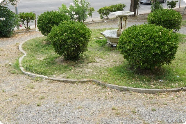 crotone crotone