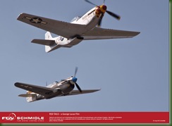 Red_Tails_11