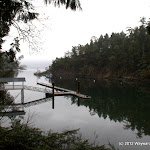 IMG_6159.jpg