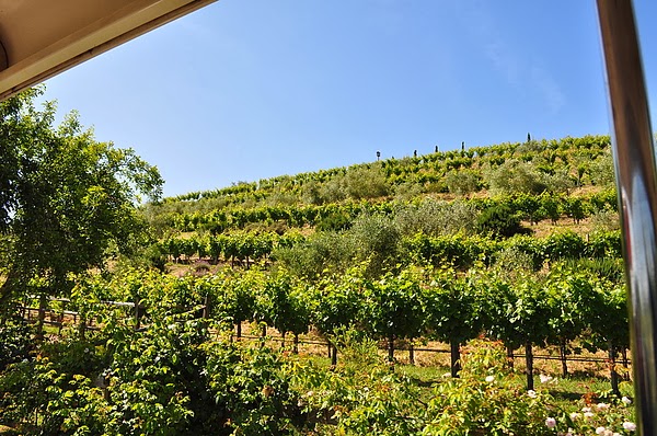 DSC_0006.JPG DSC_0006.JPG