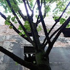 Kazimierz Baum vor Abbruchhaus 100912-7305-04.JPG
