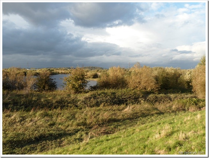 SAM_3592 Fairburn Ings