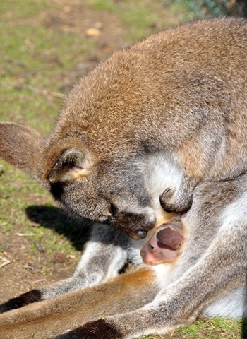 [DSC_0282%255B11%255D.jpg]