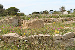 Kerkouane 128.JPG