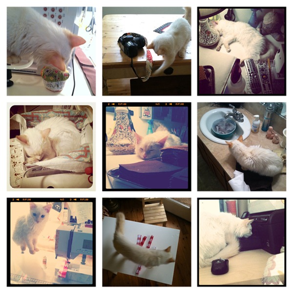 Norman_Helps