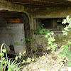 dsc00610.jpg