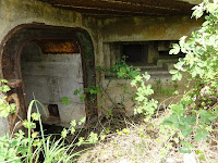 dsc00610.jpg