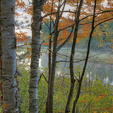 Early Morning With Fog / Near Manitowish Waters / North Wisconsin