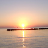 Foto Varie - Welcome Lido Siesta