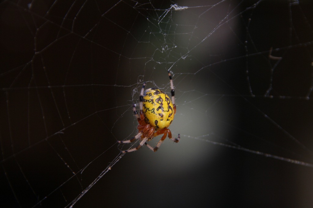 [IMG_88534.jpg]