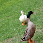 20100404_011.JPG