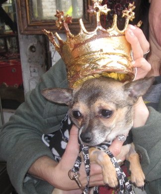 Minnow: 