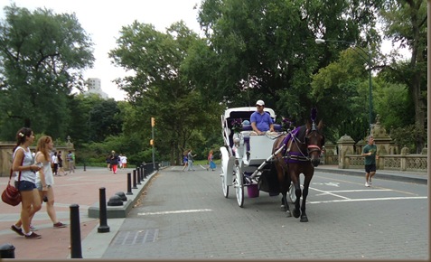 carriage central park